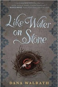 Книга Like Water on Stone