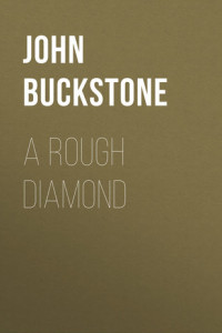 Книга A Rough Diamond