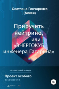 Приручить нейтрино, или «Энергокуб инженера Гагарина»