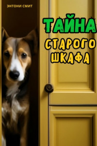 Книга Тайна старого шкафа