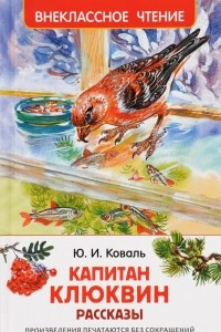 Книга Капитан Клюквин