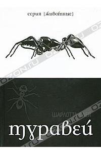 Книга Муравей