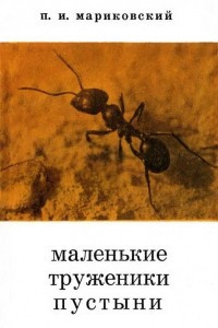 Маленькие труженики пустыни