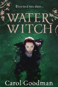 Книга The Water Witch