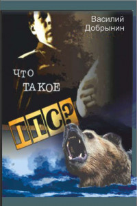 Книга Что такое ППС?