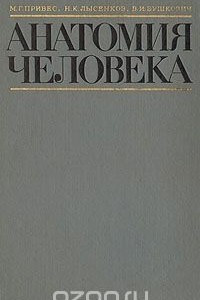 Анатомия человека