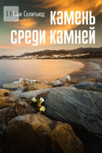 Книга Камень среди камней