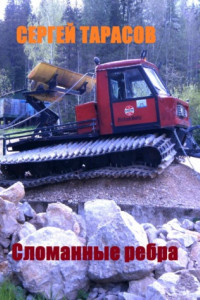 Книга Сломанные ребра