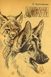 Книга Дикси