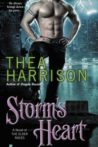 Книга Storm's Heart