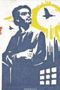 Книга Вальдшнепы над тюрьмой