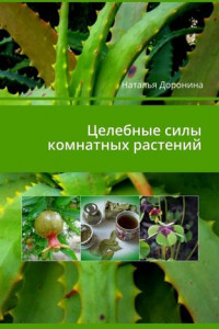 Целебные силы комнатных растений