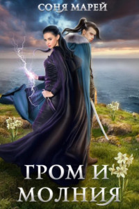 Книга Гром и Молния