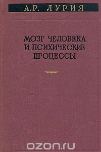 Книга Мозг человека и психические процессы