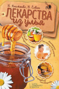 Книга Лекарства из улья