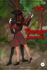 Книга Последняя попытка