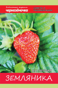 Земляника