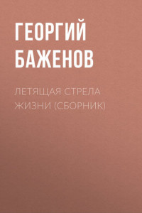 Летящая стрела жизни