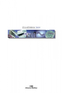 Платина 2009