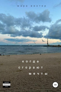 Книга Когда сгорают мечты