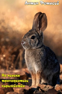 Книга На поиски тринадцатого королевства