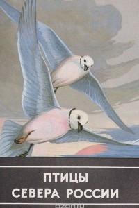 Книга Птицы севера России