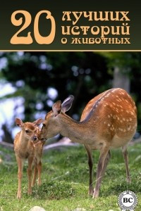 20 лучших историй о животных