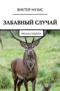 Книга Забавный случай