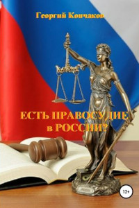 Книга Есть правосудие в России?
