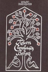 Книга Повесть о Сарыкейнек и Валехе