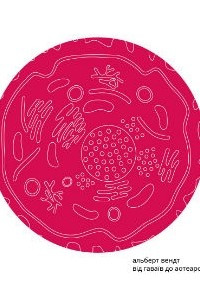 Книга Від Гаваїв до Аотеароа