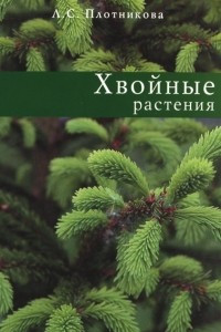Книга Хвойные растения