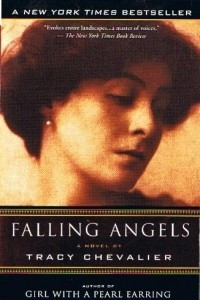 Книга Falling Angels