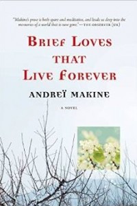 Книга Brief Loves That Live Forever