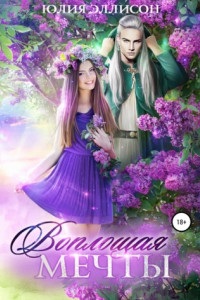 Книга Воплощая мечты