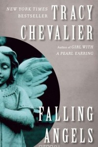 Книга Falling Angels