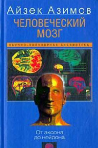 Книга Человеческий мозг. От аксона до нейрона